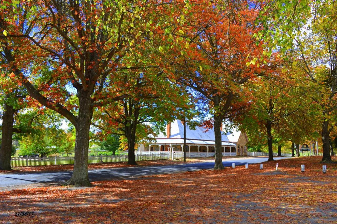 Settlers Motor Inn Tenterfield Exterior foto